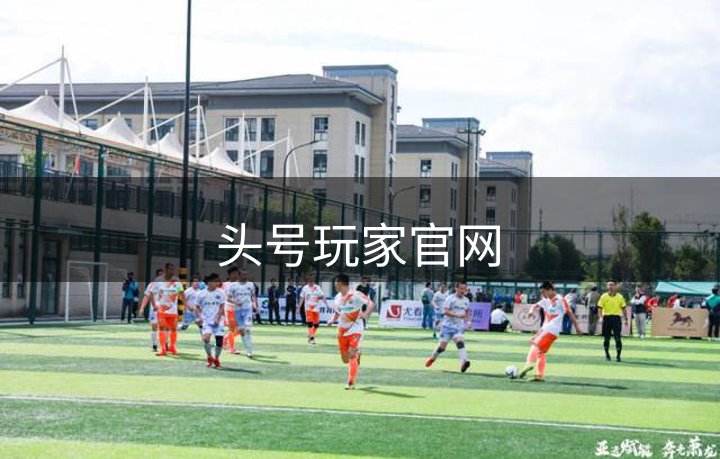 头号玩家官网概况